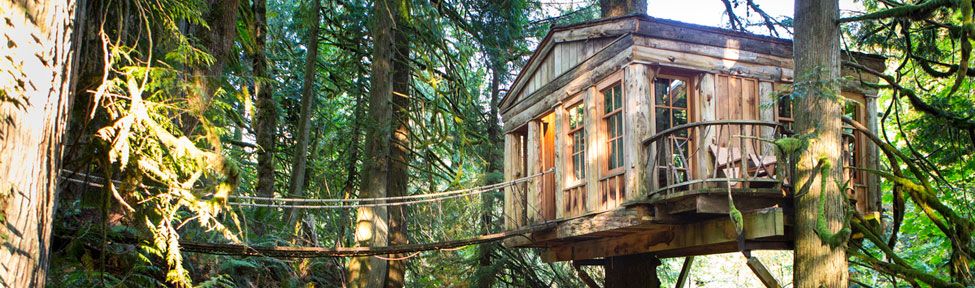 15 Tree House Enhancements Your Kids Love