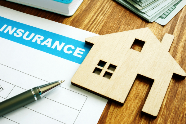 Does Home Insurance Cover Mold?